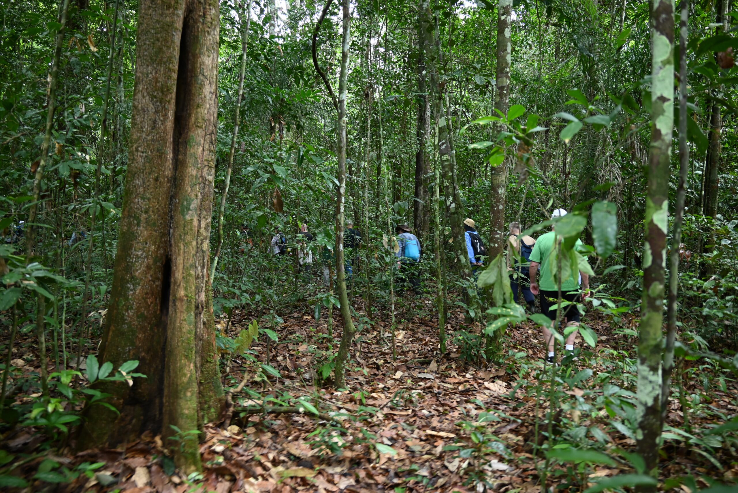 Day 15(Jan 19)- Santarem (Amazon River), Brazil