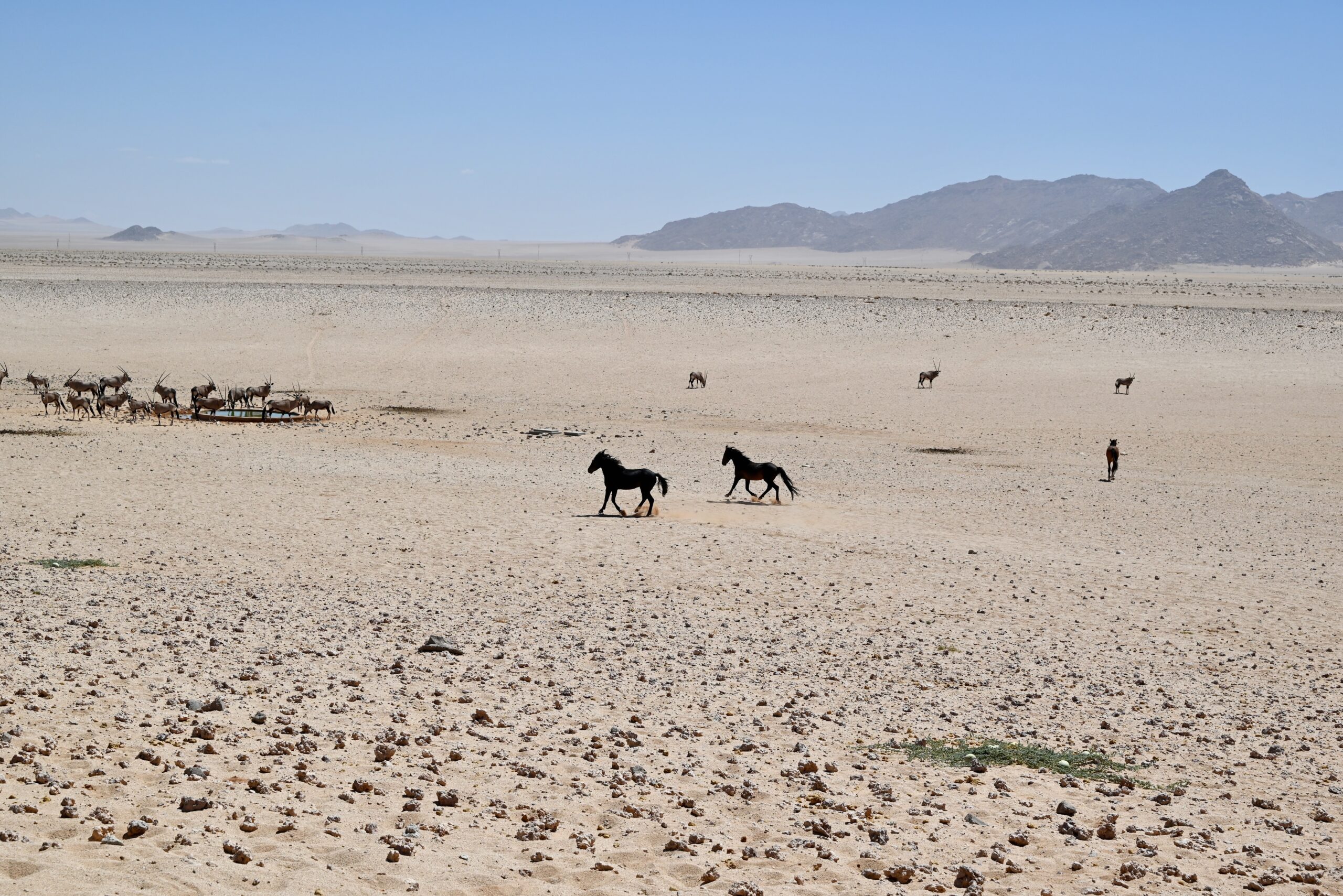 Day 42(Feb 15)- Luderitz, Namibia