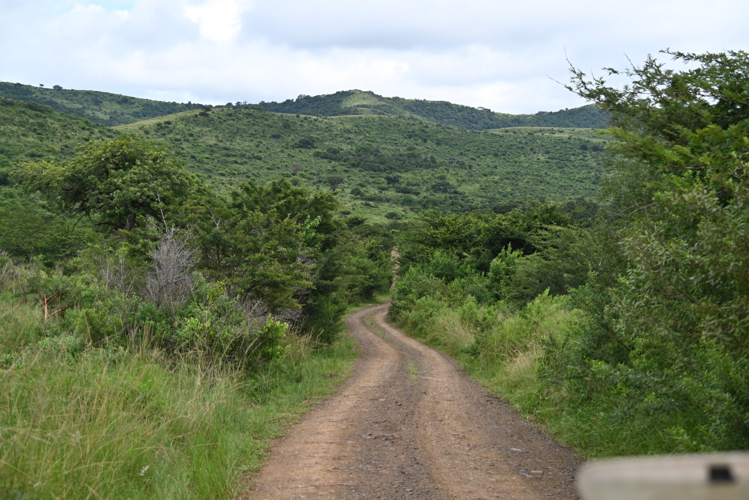 Day 50(Feb 23)- Richards Bay, South Africa