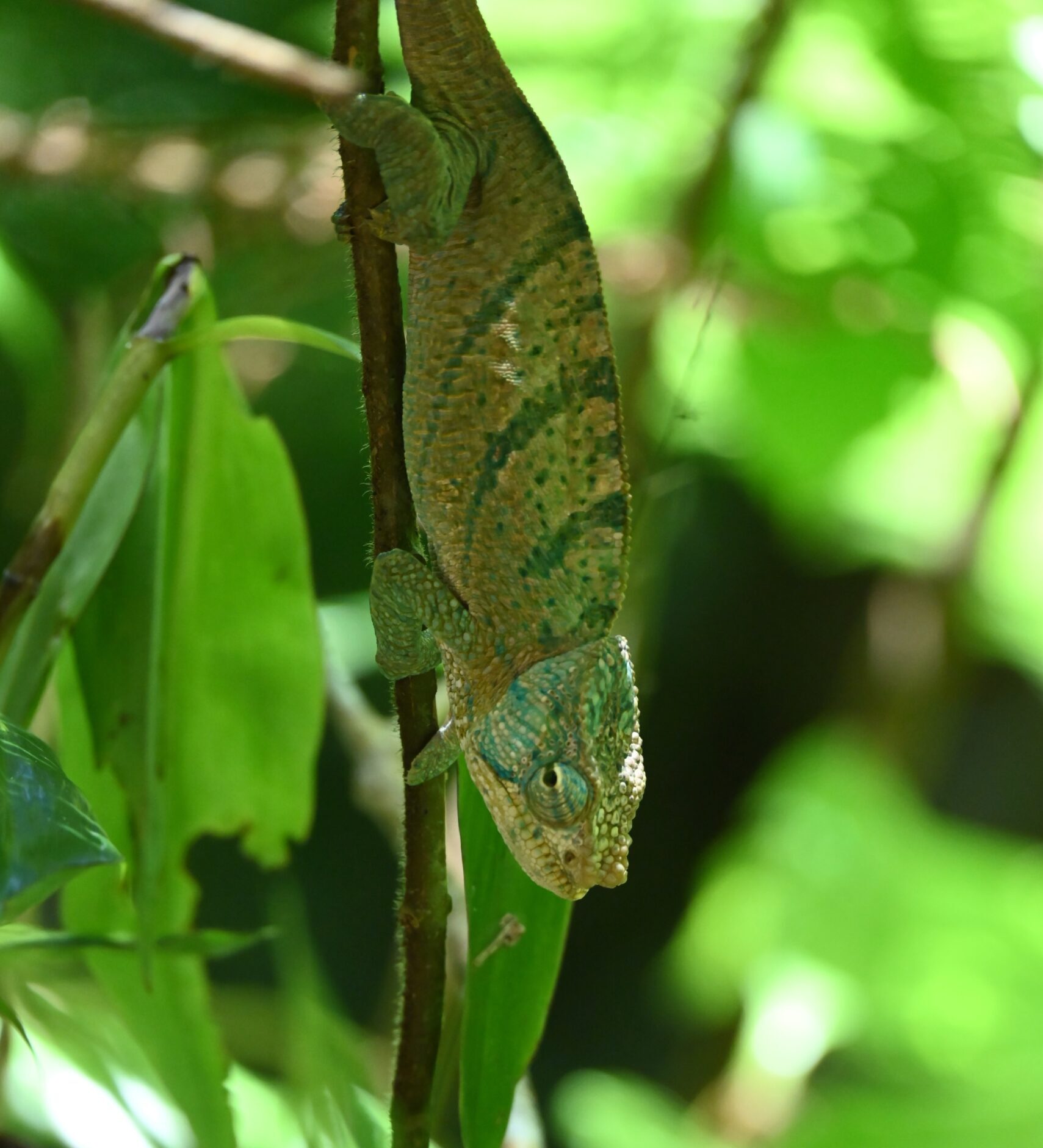 Day 56(March 1)- Antsiranana, Madagascar