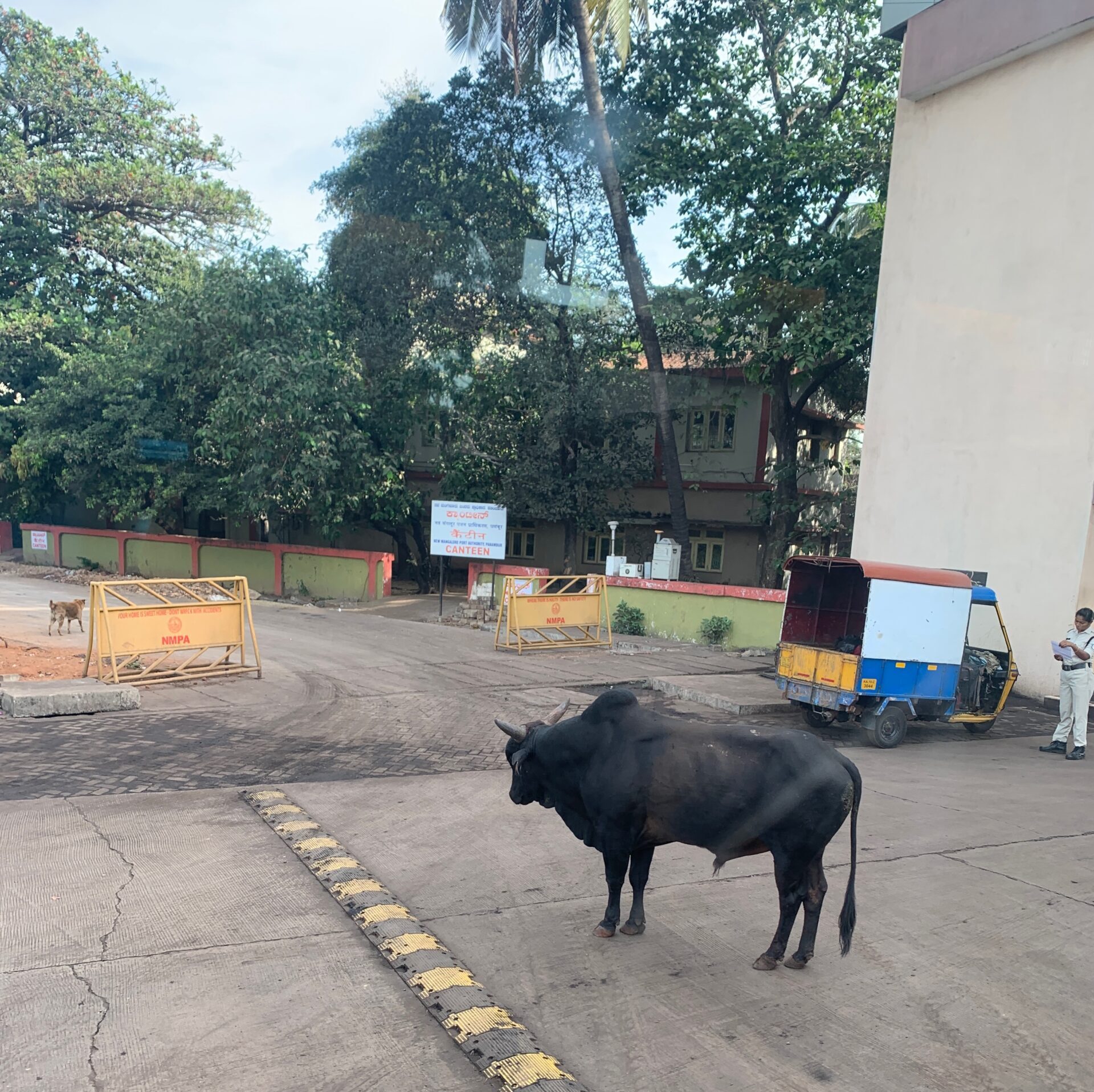 Day 66(March 11)-Mangalore, India