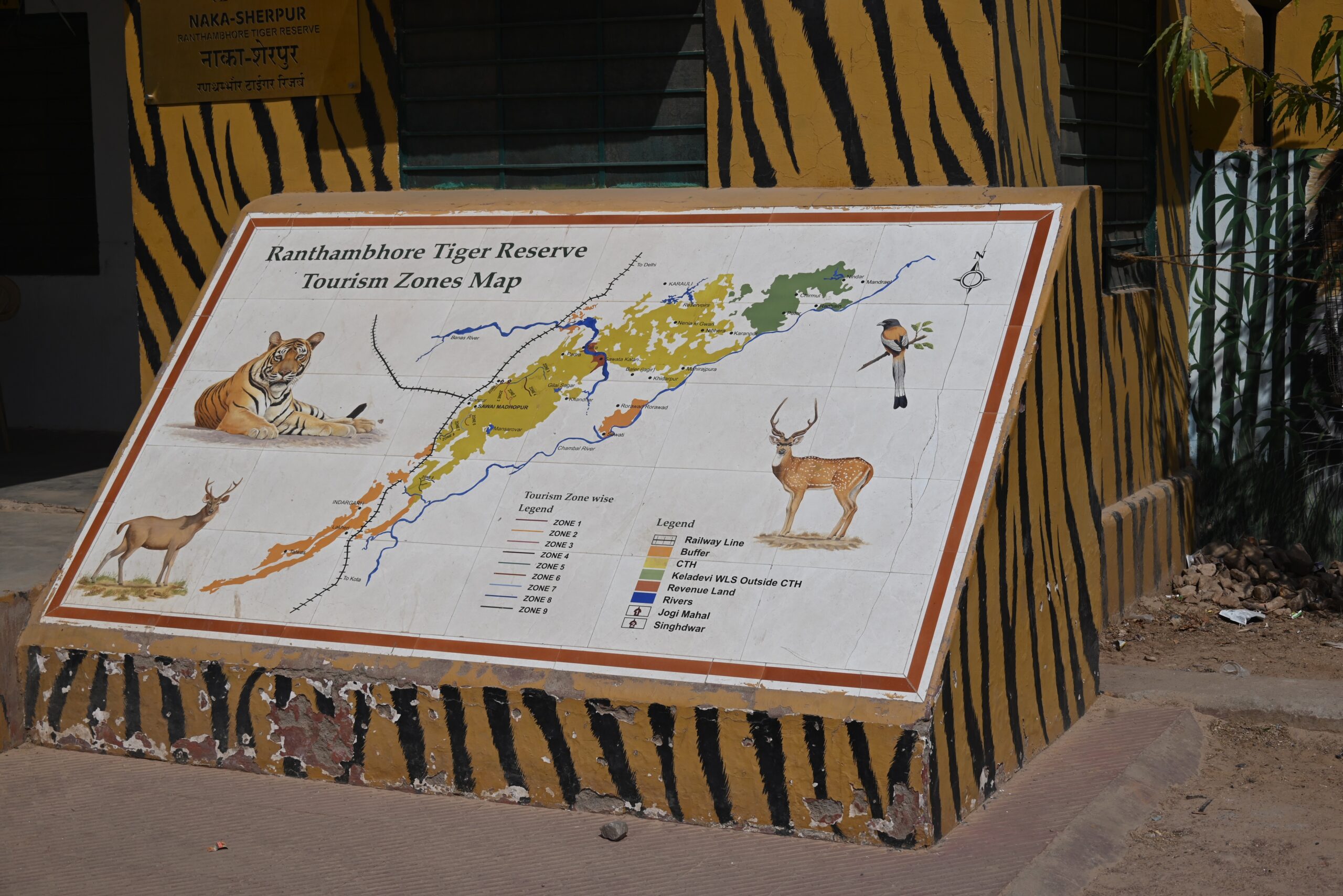 April 26: Delhi, India to Ranthambore National Park, India