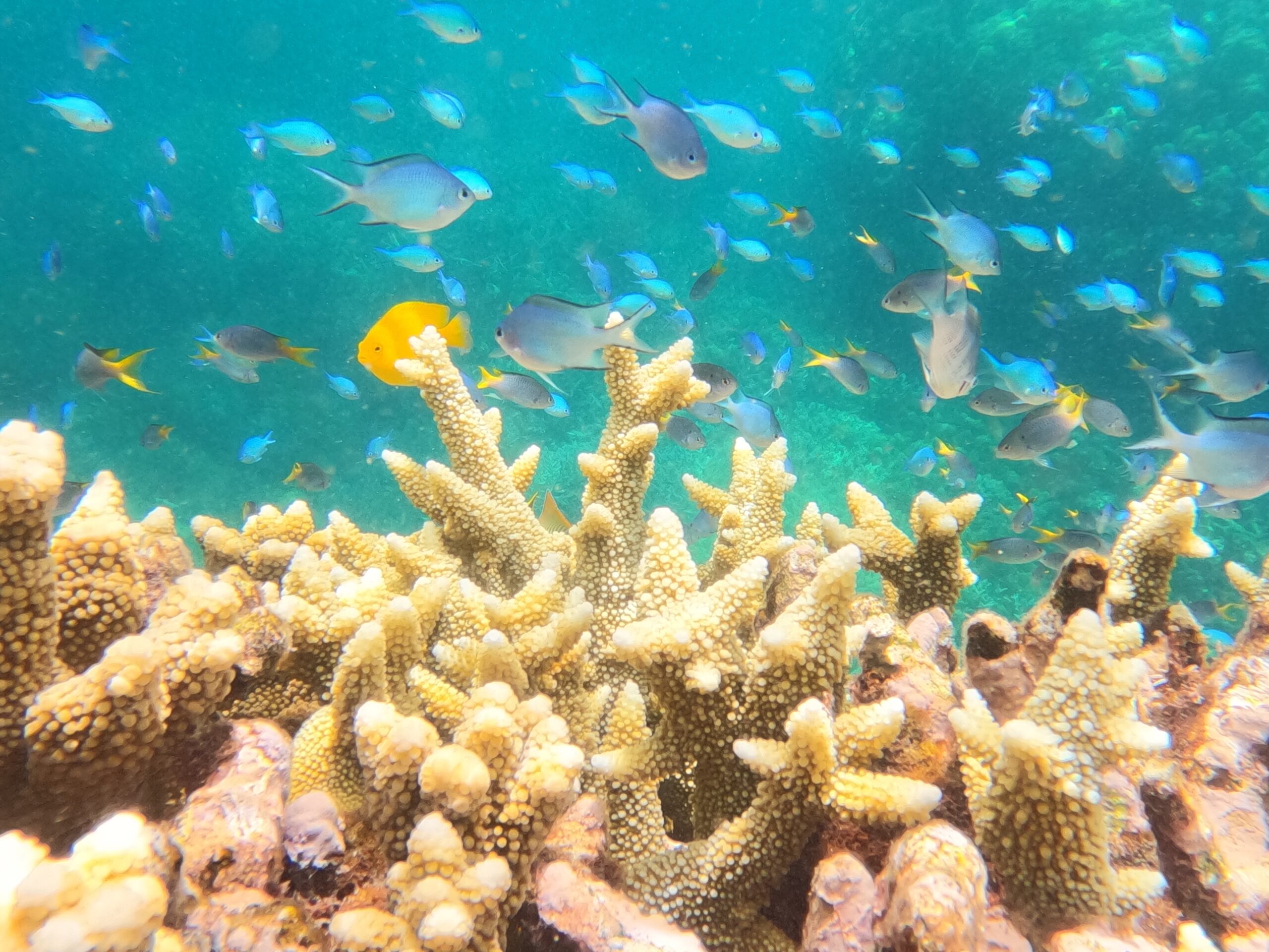 Feb 13, 2026: Cairns, Australia