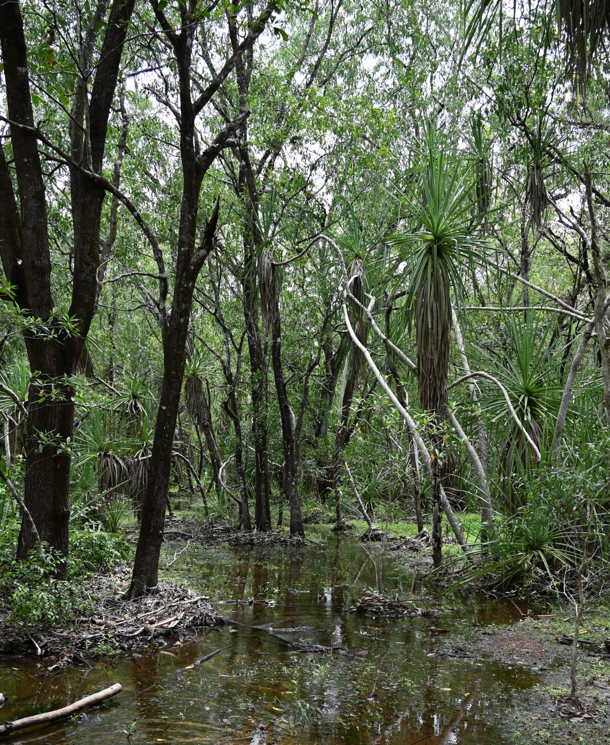 Feb 17, 2026: Darwin