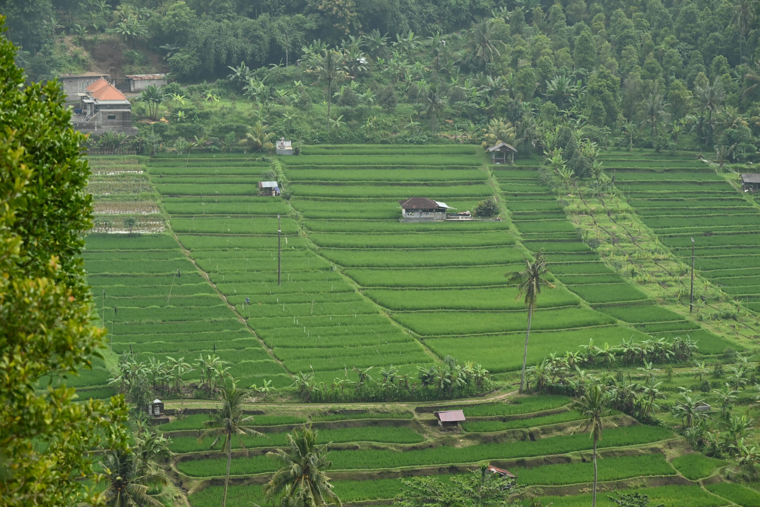 Feb 20, 2026: Celukan Bawang, Bali