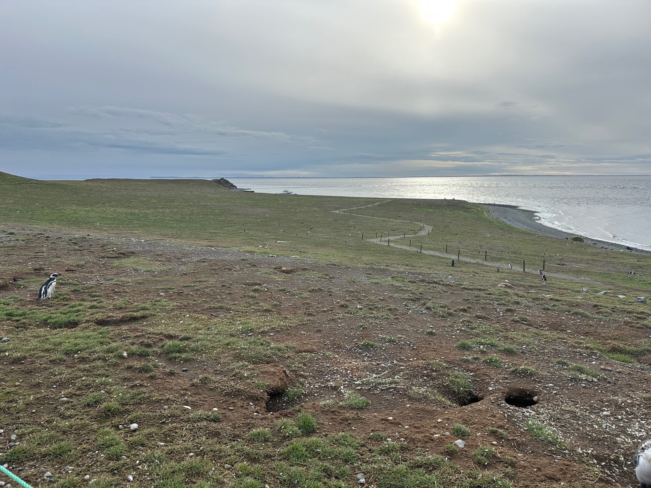 March 19, 2026: Punta Arenas, Chile