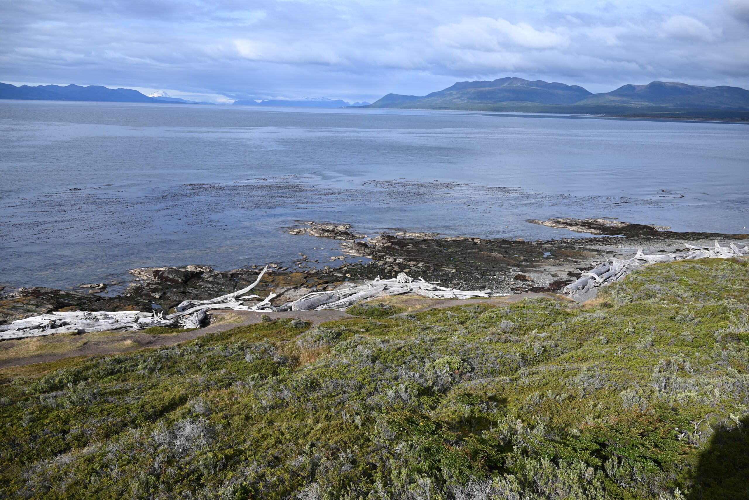 March 20, 2026: Punta Arenas, Chile (visit Fort Bulnes)