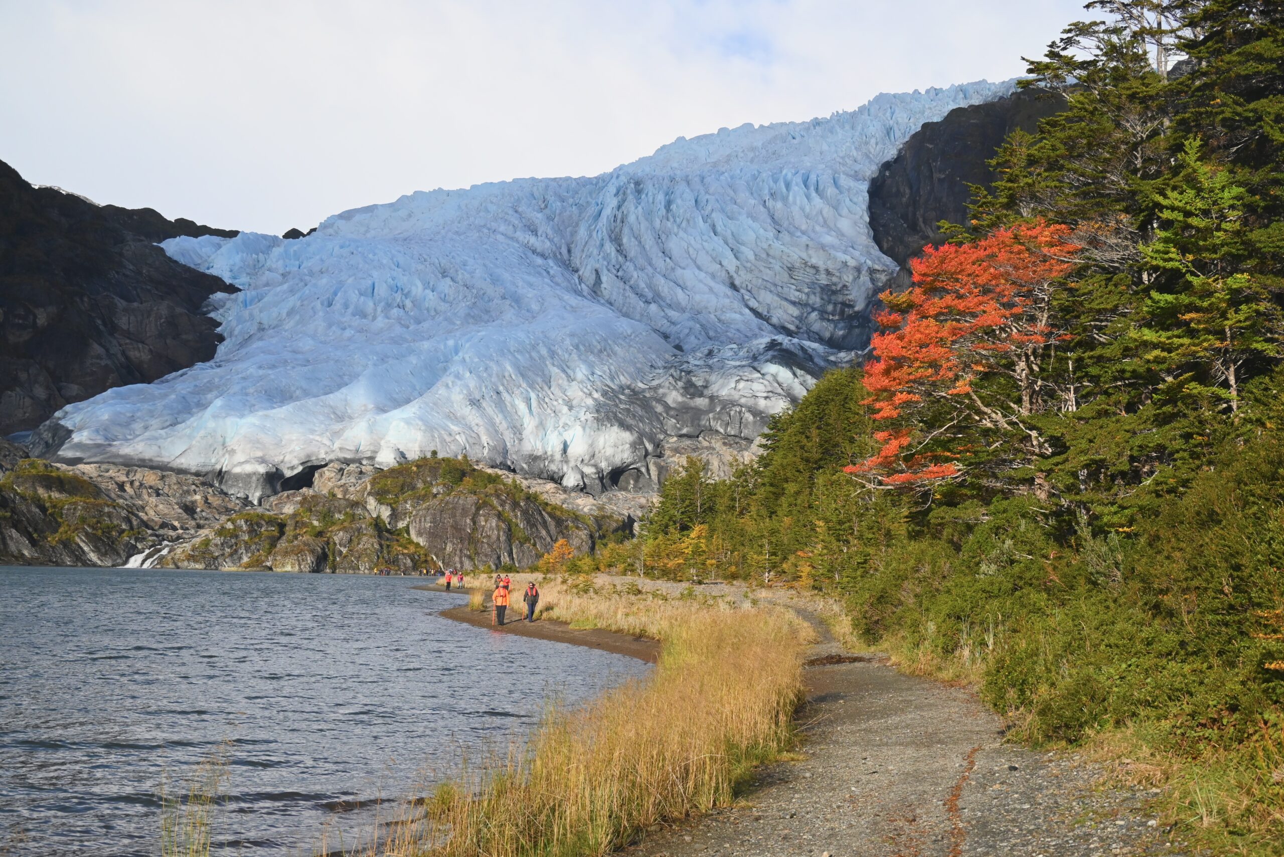 April 6, 2026: Pupupo Glacier and Vergara Glacier