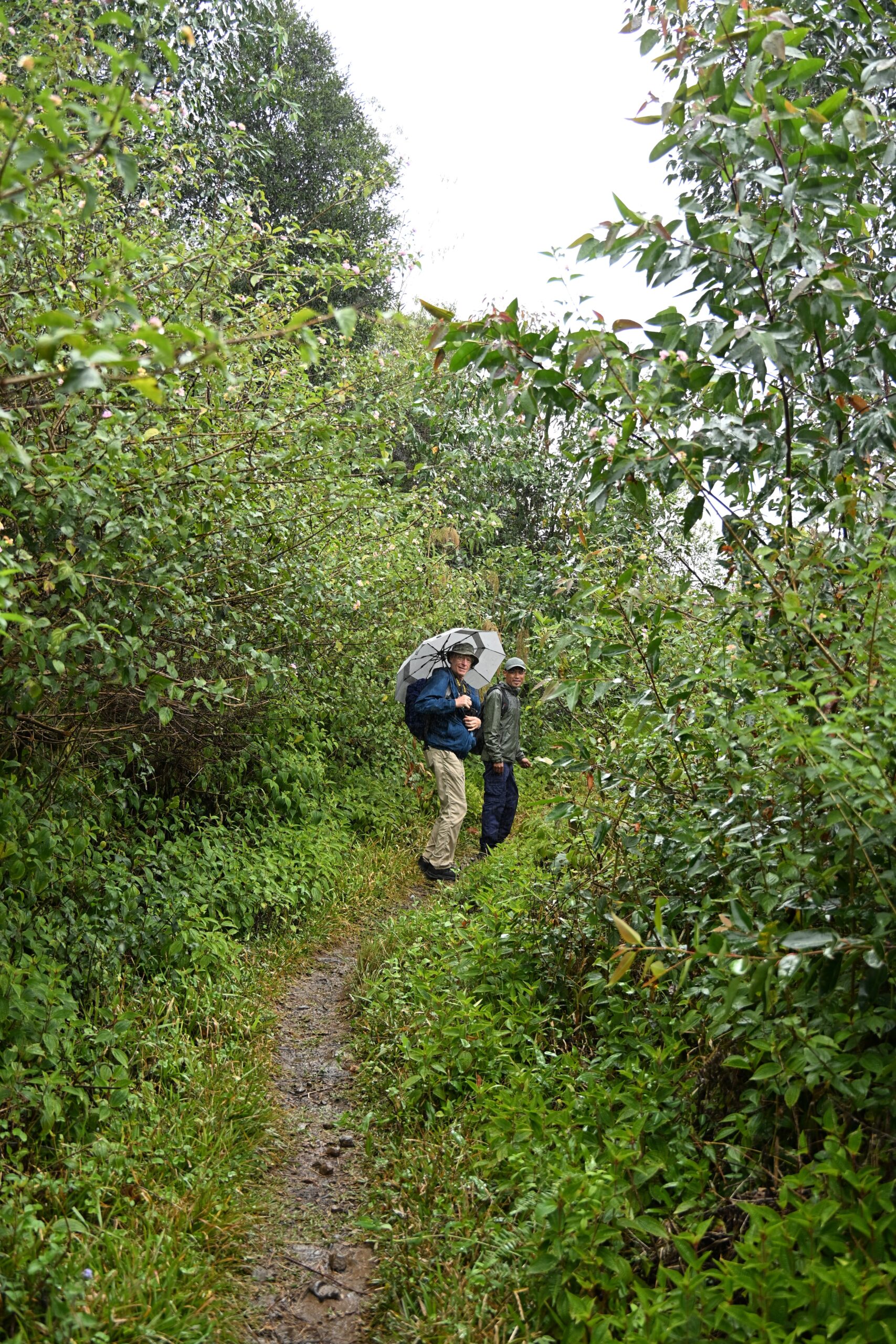 August 27-28, 2026: Mantadia Lodge(Andasibe-Mantadia National Park)