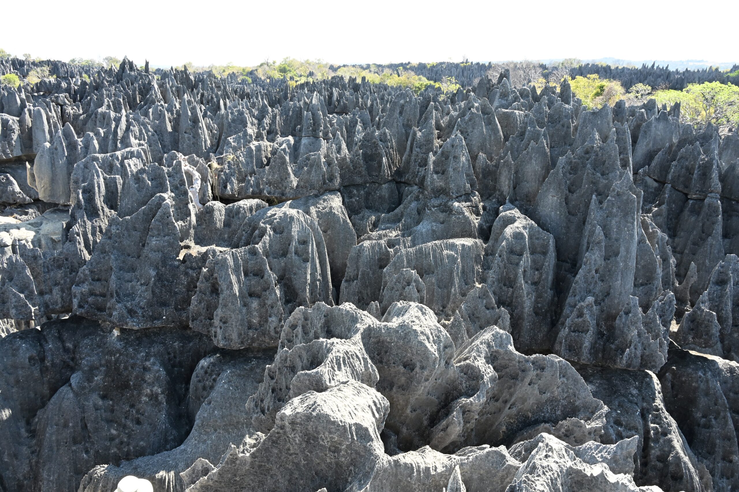 September 2-3, 2026: Hotel Soleil des Tsingy (Tsingy de Bemaraha National Park)