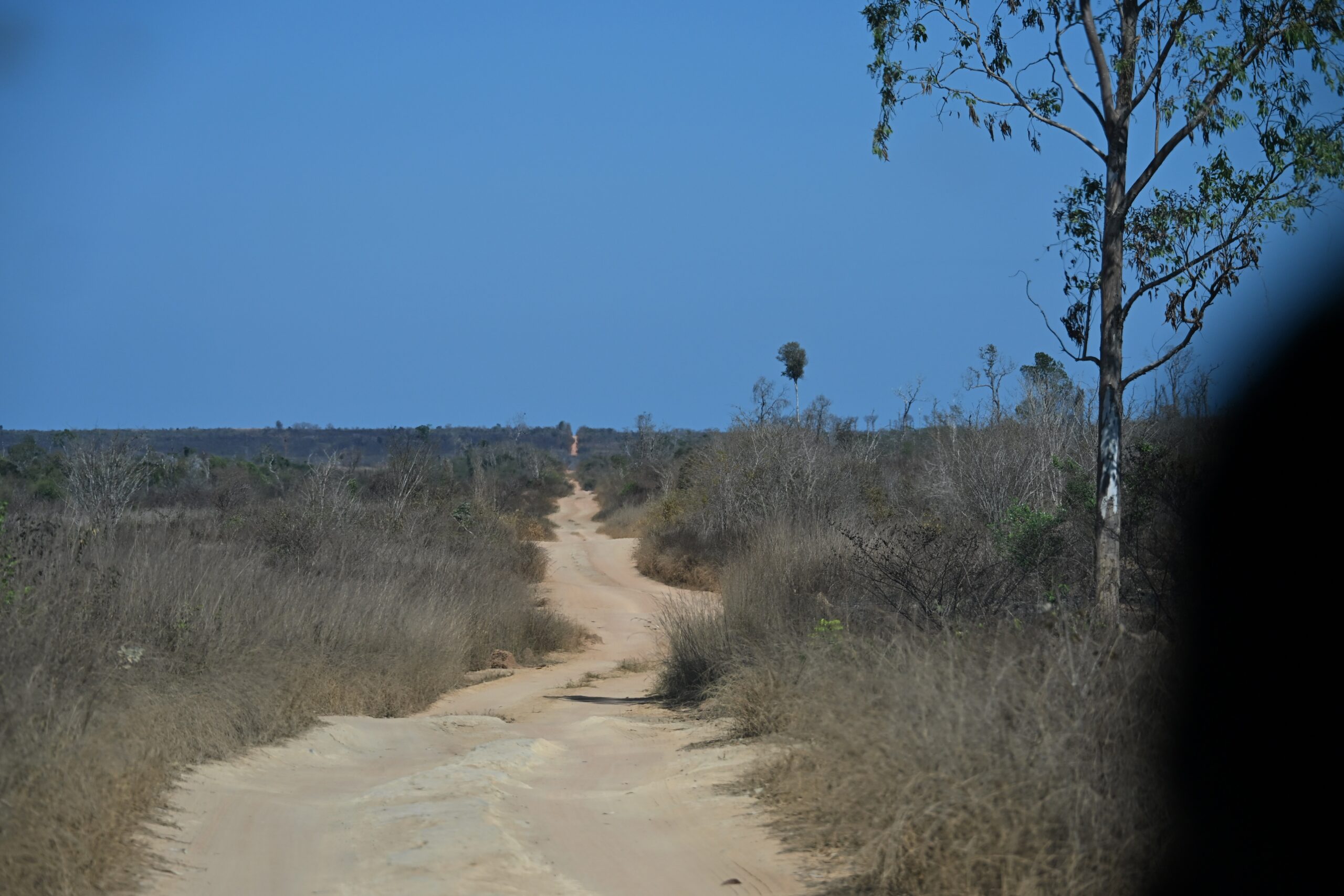September 4, 2026: Hotel Soleil des Tsingy (Tsingy de Bemaraha National Park) to Morondava